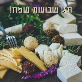 ספינקופיטה - מאפה תרד